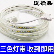 Lamp with led neon strip three-color color-changing line lamp living room ceiling decoration patch super bright light with 220v line lamp