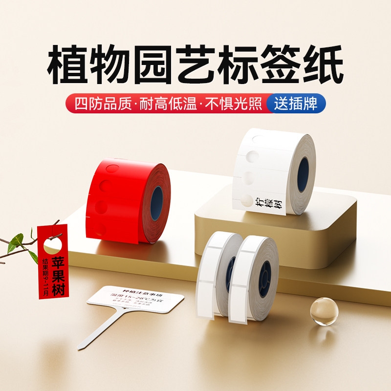 精臣B18/N1/M2/B32园艺标签t型多肉盆栽植物花卉名字地插牌塑料防水苗木挂牌定制花盆标识牌防雨防晒小插牌
