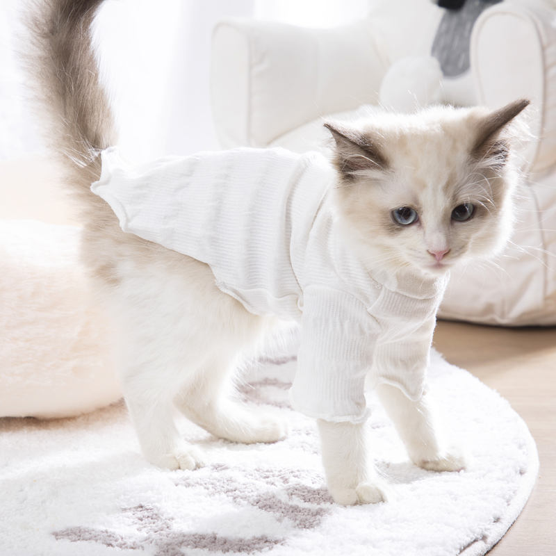Kitty clothes Spring and autumn money pets can love young cats Anti-drop Mao thin Blue Cat Buggy Puppy Cat Pooch Beat the Bottom Jersey Summer