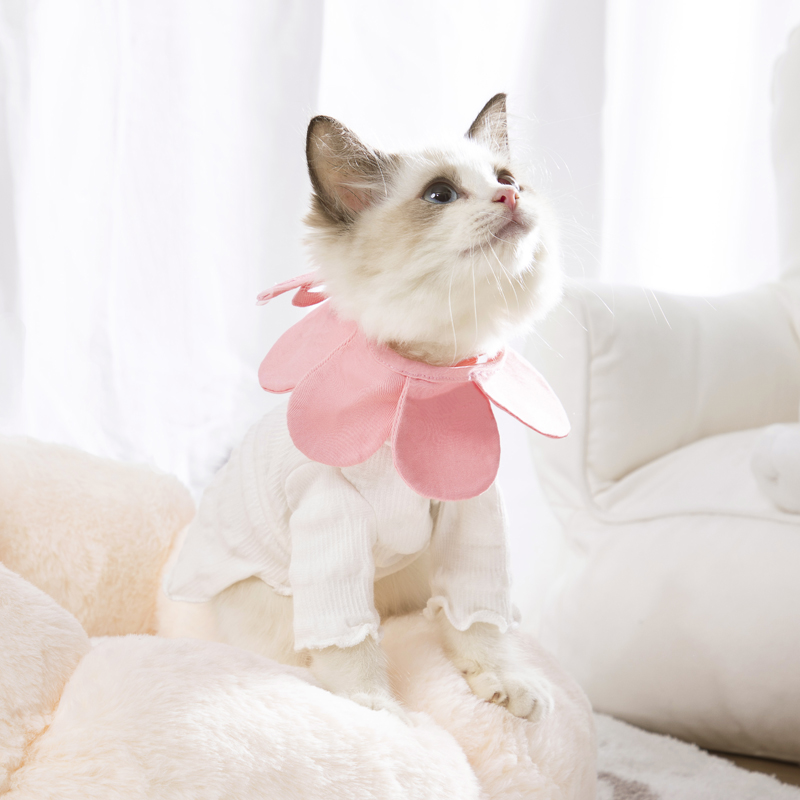 Petal cat scarf jewelry cute pet bib cat bib cat bib doll cat saliva towel English short Xiao Mao