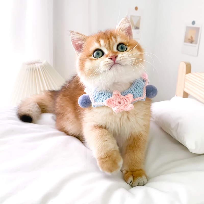 Cat Item Circle cute cat Cat Ornaments Young Cat neck Neck Circle neck Hand Woven Cat Neck Ring Pet Item Ring Dog