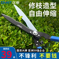 Zhengtai Gardening Ncissors Sdize Flower Cut Rough Lawn Crunning Printions Специальная обрезка Green Green Green Большие ножницы обрезка