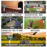 Собачья артефакт с высокой силой ультразвуковой ультразвук на открытом воздухе на открытом воздухе на открытом воздухе на открытом воздухе на открытом воздухе.