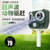 Собачья артефакт с высокой силой ультразвуковой ультразвук на открытом воздухе на открытом воздухе на открытом воздухе на открытом воздухе на открытом воздухе.