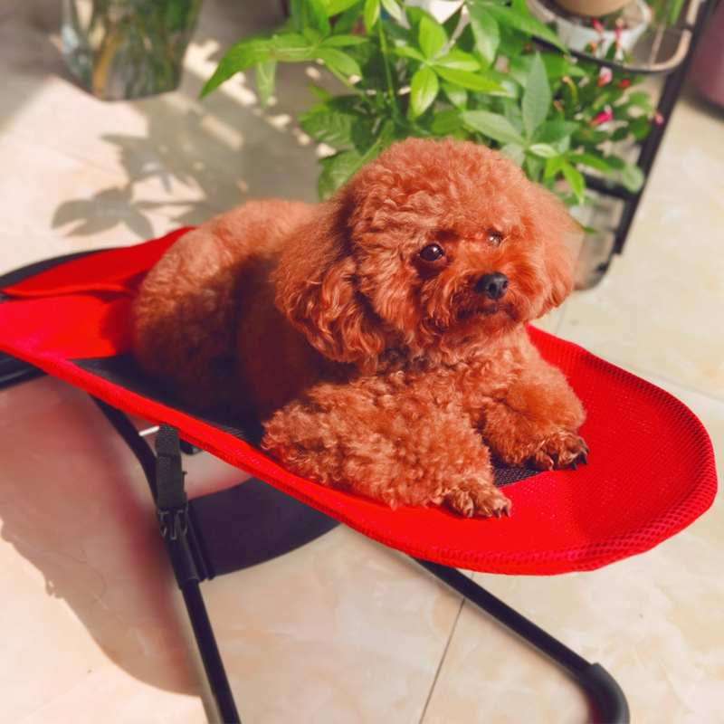 Dog rocking chair recliner small pet rocker method bucket bed off the ground chair dog special spring bed puppy teddy