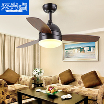 Lighting point Simple modern electric fan lamp Dining room chandelier Household lamp Ceiling fan lamp Living room Bedroom Dining room lamp