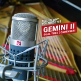 American SE Gemini II Двухэлектронный микрофон микрофон чистый ручная работа студия студии Gemini Второе поколение второго поколения