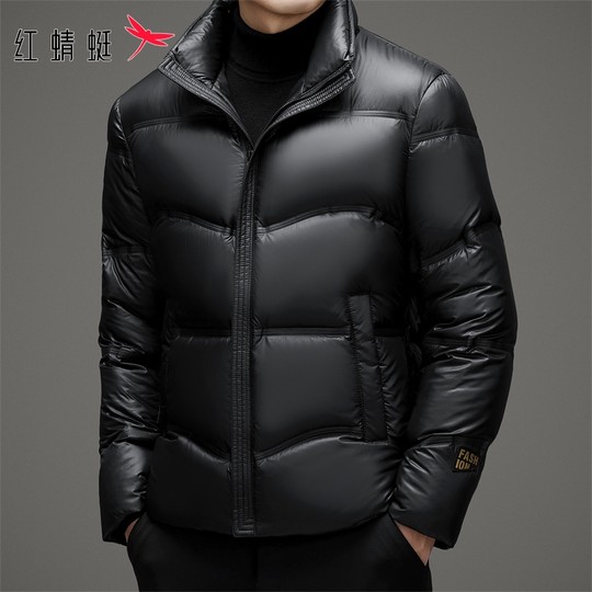 Red Dragonfly Men's down Jacket 2025 Winter New Style Stand Collar Puffer Jacket Casual Thick Short Coat Men's Trendy