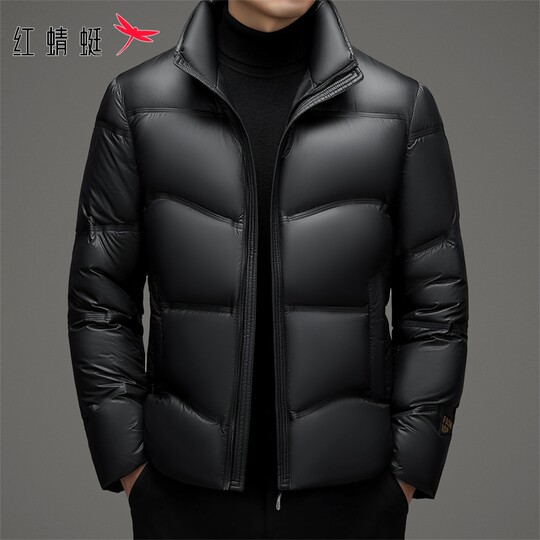 Red Dragonfly Men's down Jacket 2025 Winter New Style Stand Collar Puffer Jacket Casual Thick Short Coat Men's Trendy