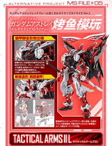 Bandai METAL BUILD MB Red Heresy change reprint Color attack Gundam SEED Japanese version