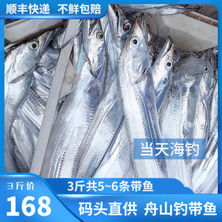 Zhoushan with fish fresh non -frozen big saury fresh living deep sea East sea small eye oil fishing with seafood 3 pounds