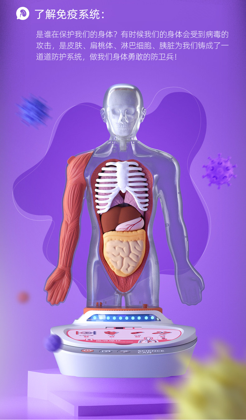 【中国直邮】Science can科学罐头 人体解剖模型器官可拆卸儿童教学玩具我们的身体语音百科