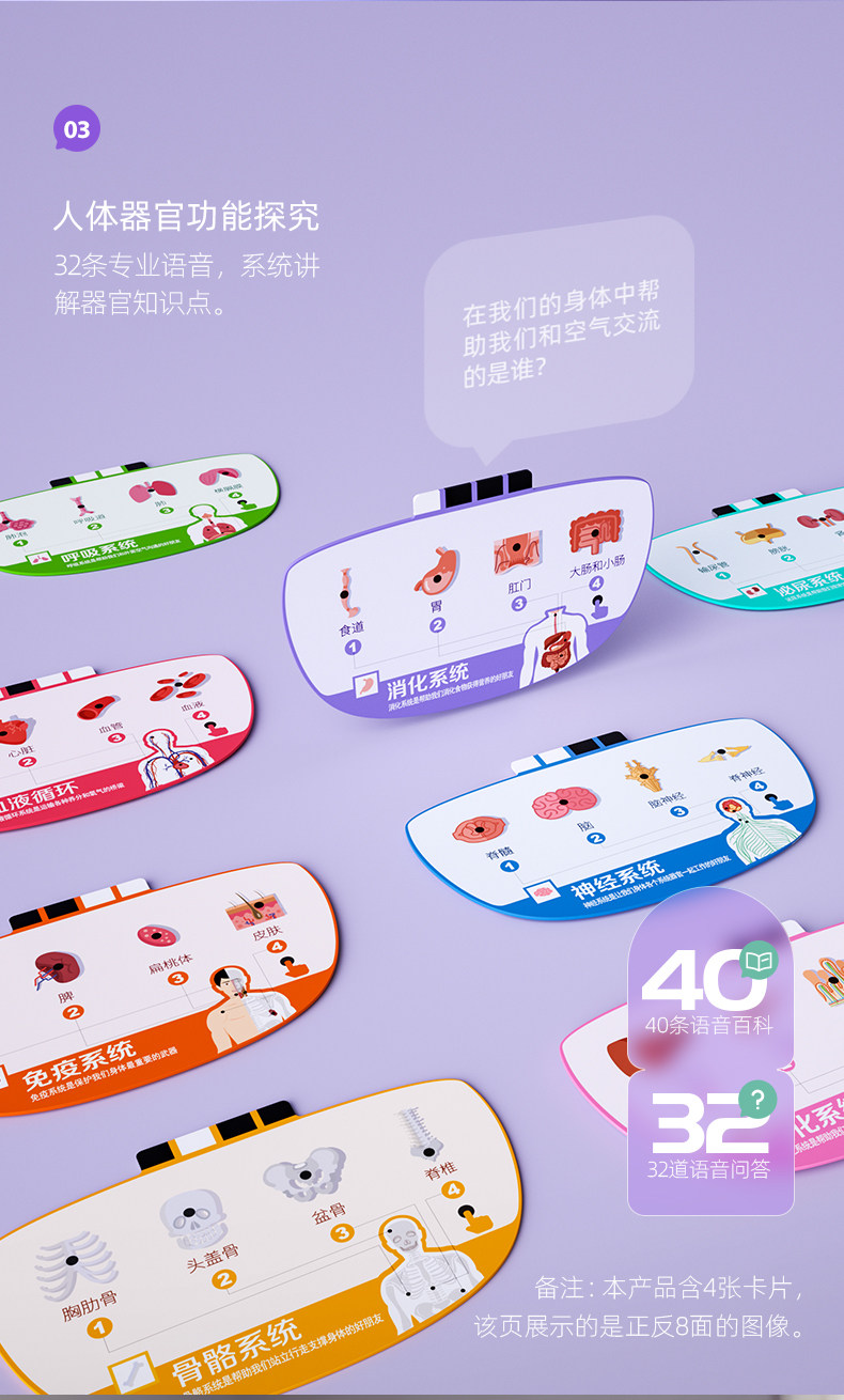 【中国直邮】Science can科学罐头 人体解剖模型器官可拆卸儿童教学玩具我们的身体语音百科