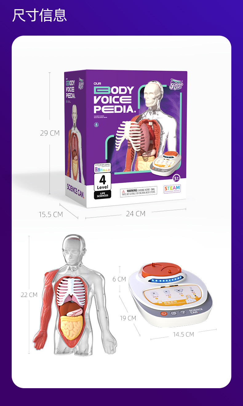 【中国直邮】Science can科学罐头 人体解剖模型器官可拆卸儿童教学玩具我们的身体语音百科