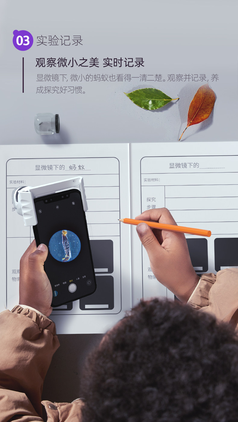 【中国直邮】Science can科学罐头 达尔文便携式显微镜 儿童户外探索观察(标本片*12)