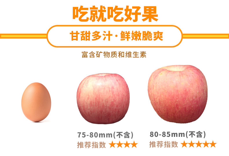 山东烟台 红富士苹果 净重5斤 单果75-80mm 图1