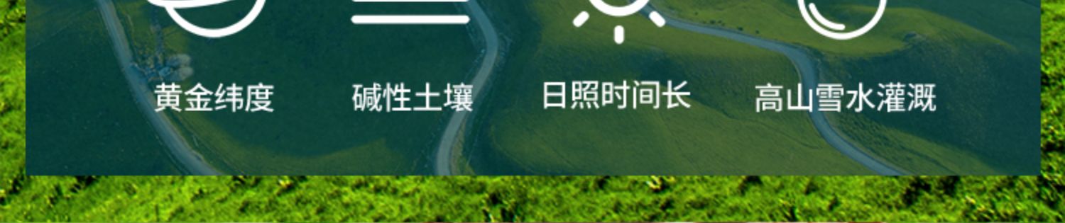 微果汇薄皮核桃2020新货薄壳