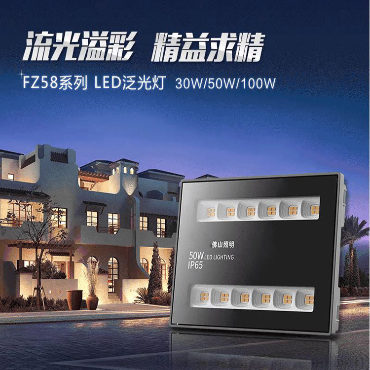 Foshan Lighting Led Throw Light Floodlight FZ58 Street Lamp Advertising Plant Lawn Patio Waterproof Tide Explosion-proof ip65