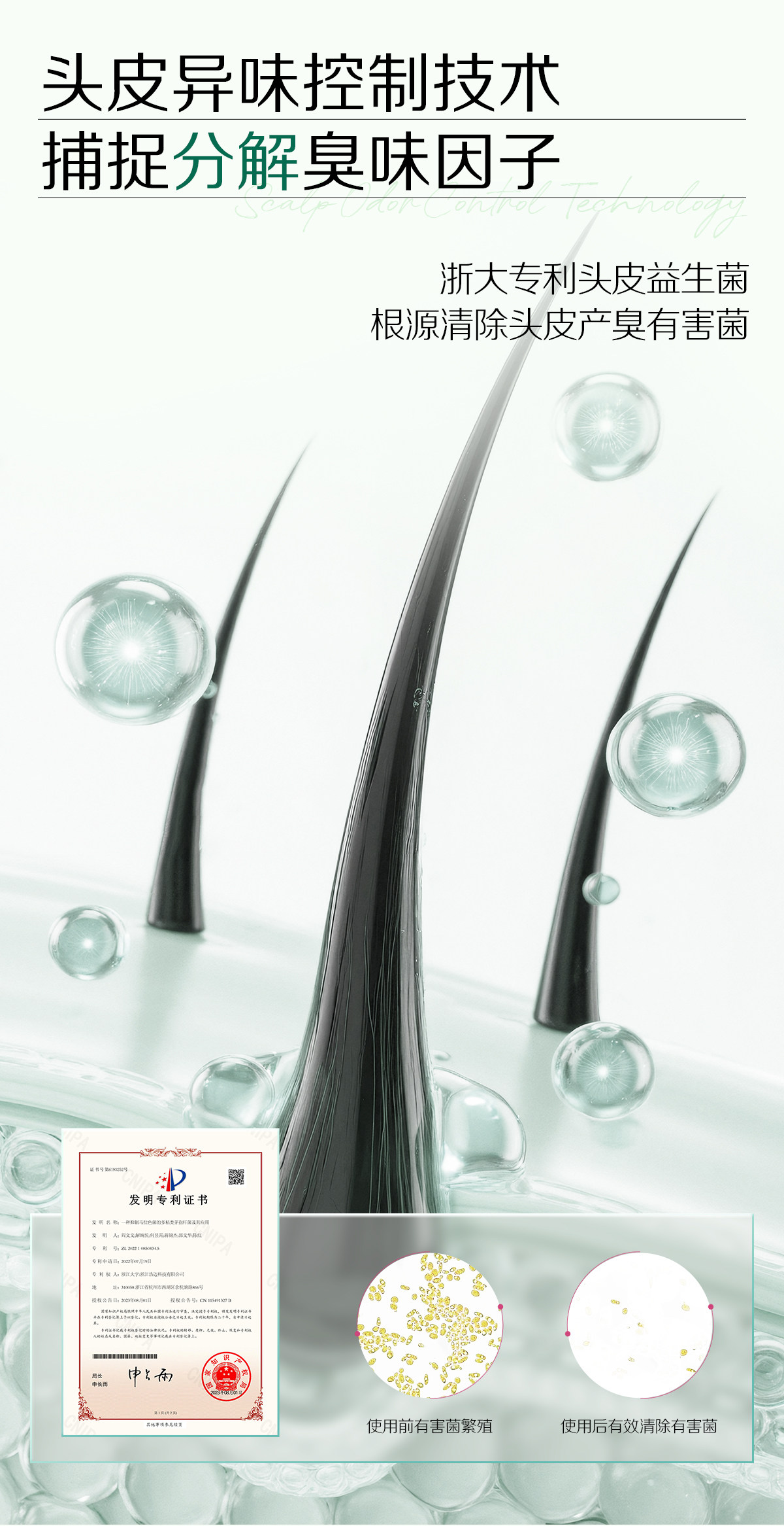 【中国直邮】 诗裴丝 免洗洗发巾 【散装】刘海款5片+5片常规 旅行 便携 控油 蓬松 止痒 留香 护发 防断发 功效型洗头巾