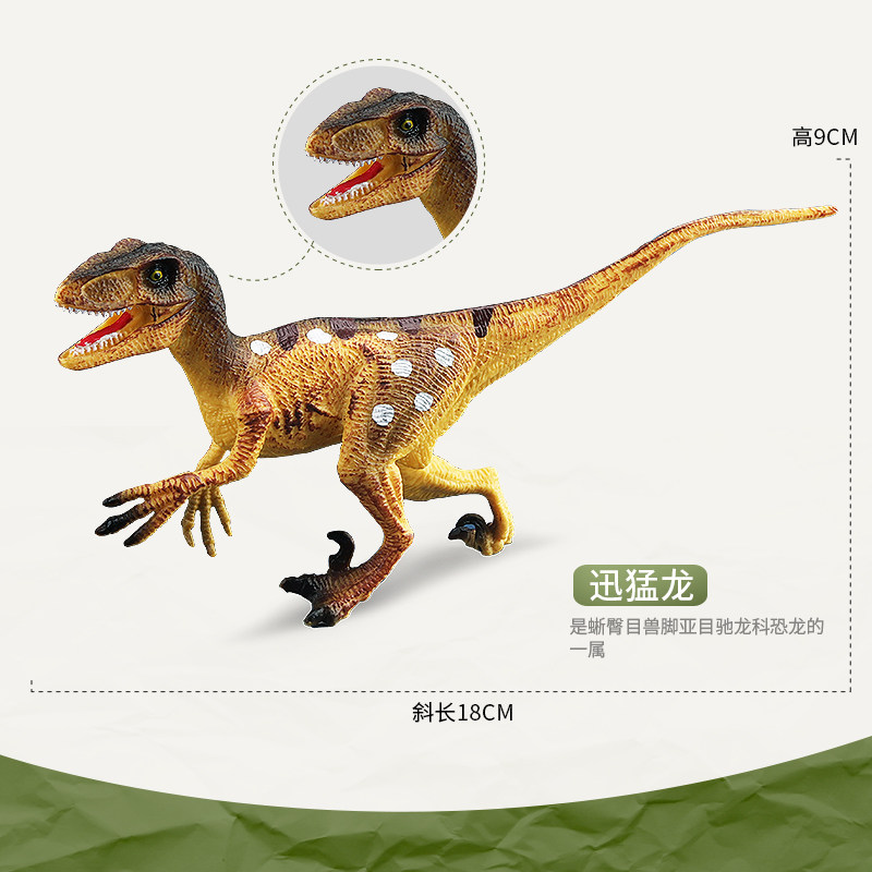 Double shell Jurassic dinosaur toy simulation animal model sickle dragon Velociraptor Velociraptor model children boys
