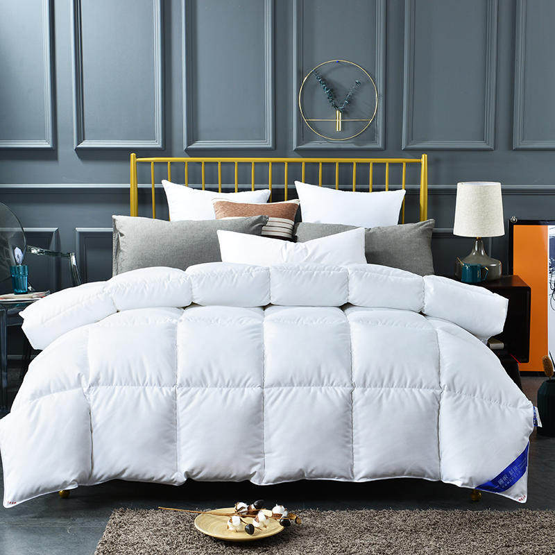 Hotel hotel quilt core quilt winter quilt thickened warm mattress student dormitory autumn and winter quilt four seasons general spring and autumn