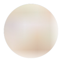 2023 New Pet Dog Shoes Manufacturer Wholesale Pet Shoes Joint Development and Design Breathable Dog Shoes Summer