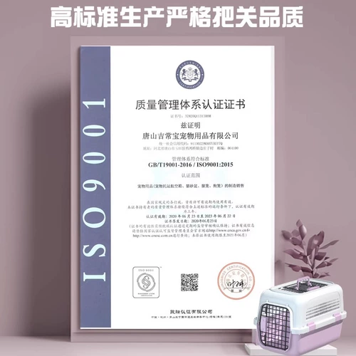 Pet Air Box Cat Special Air China Box Cage Cage выходит из портативной кошки -мешок Care Cage Small Dog