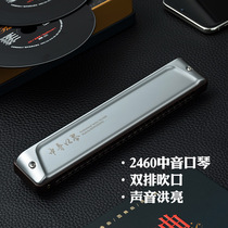 Kongsheng 24-hole alto harmonica Professional playing musical instrument Imported reed Adult band ensemble harmonica C tune 2450