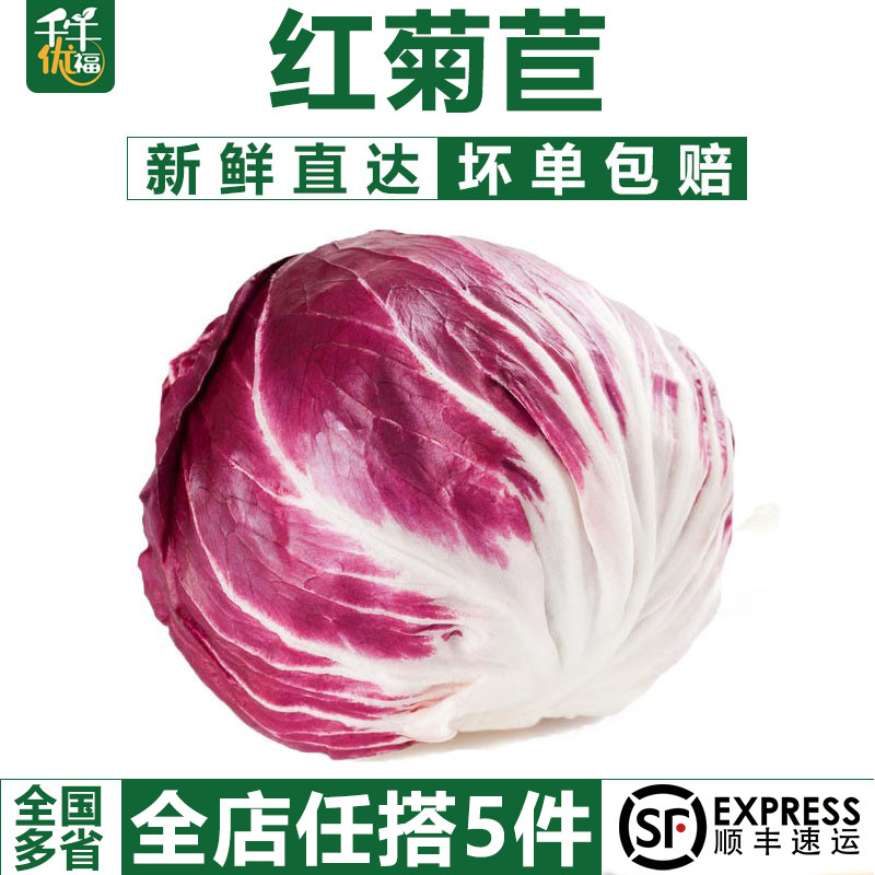 (Qian Niu Youfu) Red Chicory 500g Ground Red Ball Fresh Vegetable Salad Ingredients Western Food Side Dish Chicory