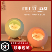 Cute little night light bedroom bedside cat light knick-knack pieces baby room sleep decorations maiden birthday gifts