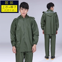 Niushu King Zipper Style [Set]