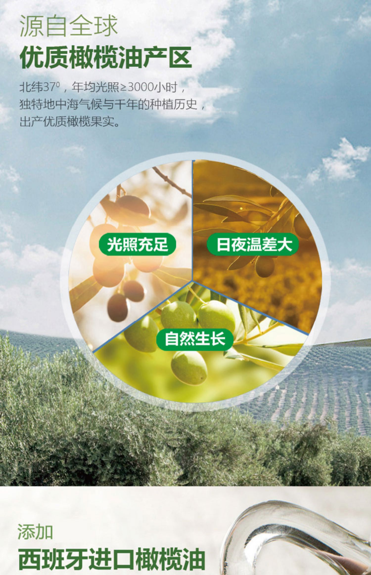 【鸿福门旗舰店】橄榄油食用油5L