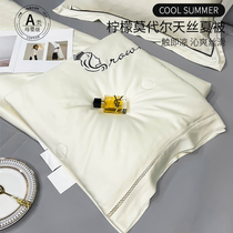 2024 New Modal Tencel Summer Quilt Summer Cooling Ice Silk Air Conditioning Quilt Machine Washable Quilt Core Summer Cooling Quilt