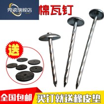 Stainless steel big tack lengthened large cap wood with nail corrugated nail cement wall nail