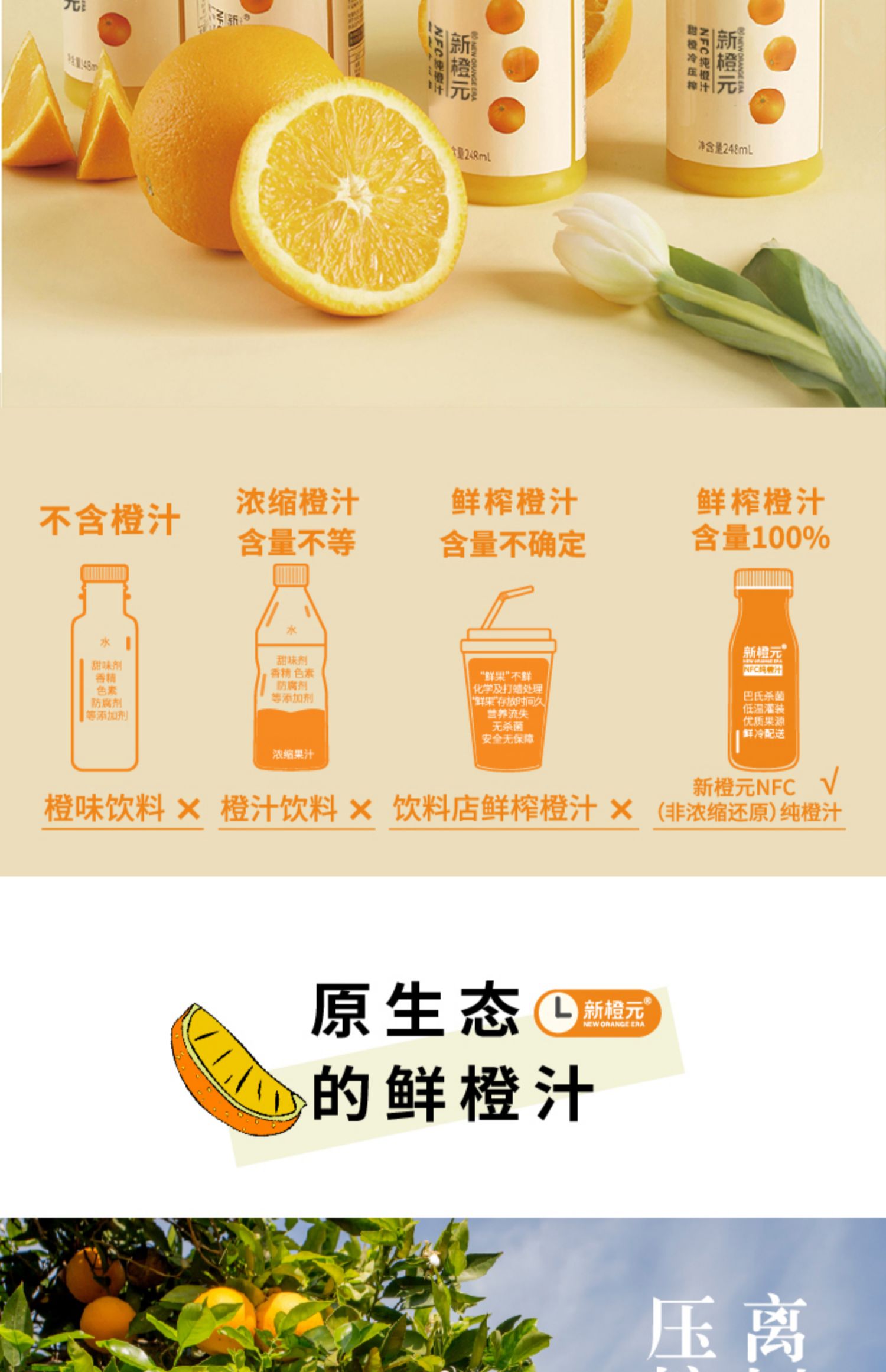 【鲜榨】NFC纯橙汁不加水不加糖10瓶装
