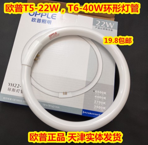 opple ring white light fluorescent light tube four-pin ring pipe tricolour T5 T6 round light source 22W 32W 40W