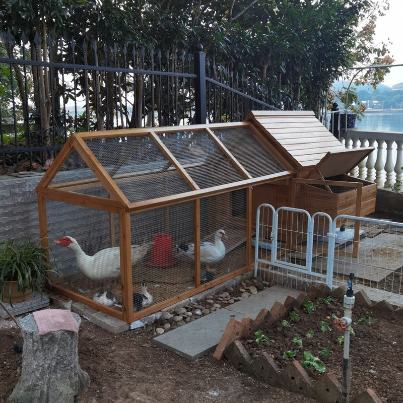 🏡🏡 大码鸡笼户外防逃鸡舍宠物笼鸭笼 | 妍婷鱼-宠物鸡-淘宝好物网