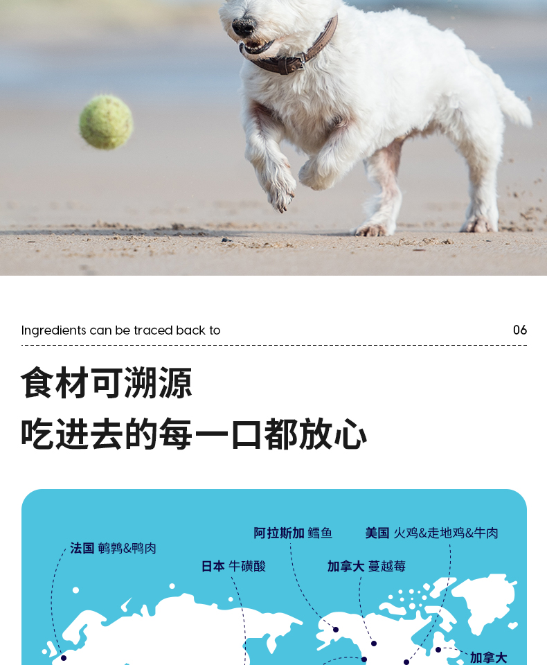 1031 мм-introins _12.jpg