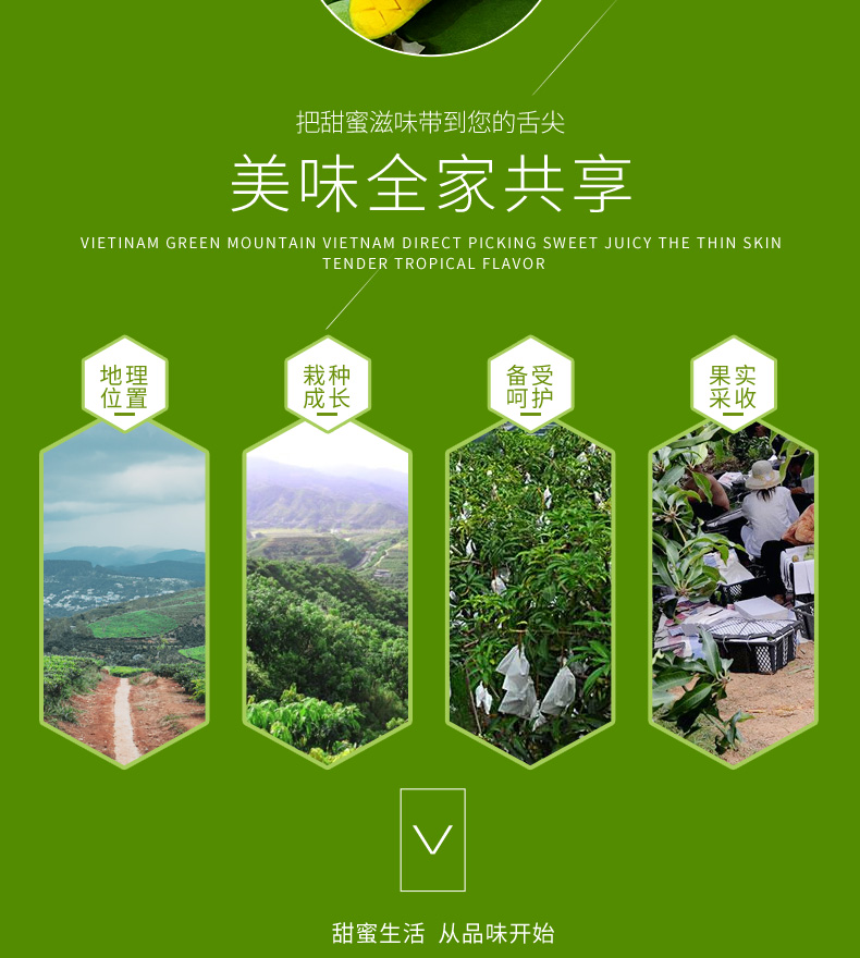 越南进口 大青芒 净重9斤 图2