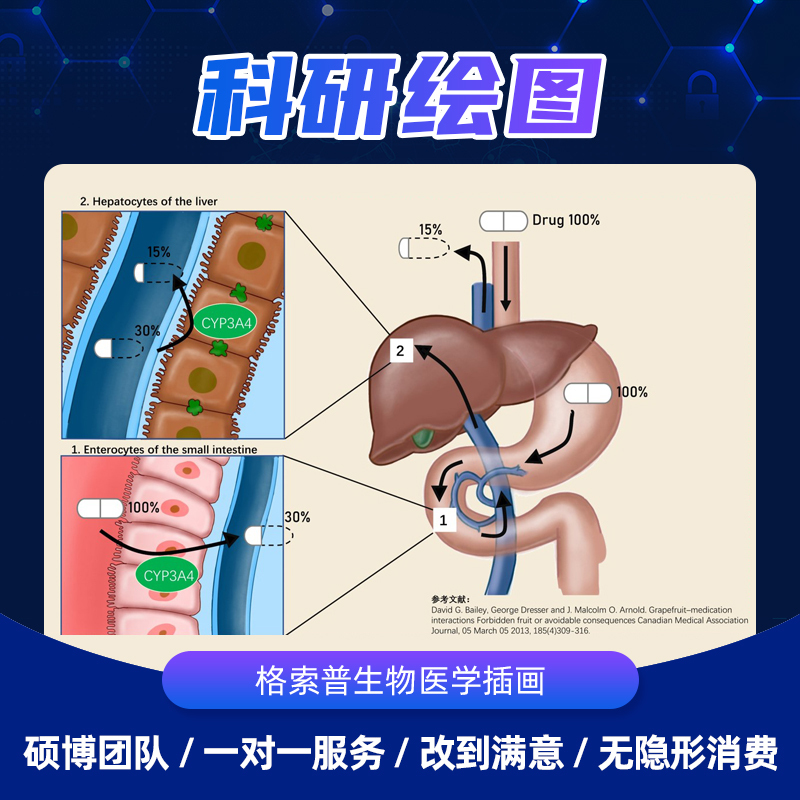 Biomedical Illustration Review with Figures, Signal Pathway Mechanism Diagram, Nanomaterial Medical Illustration, Graphic Abstract