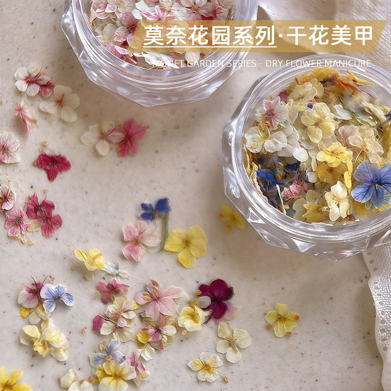 Mixed Dried Flower Materials for Nail Art, Monet Garden Exquisite Five-Petal Flowers, Small Floral Fragments, Flower Decoration Nail Accessories