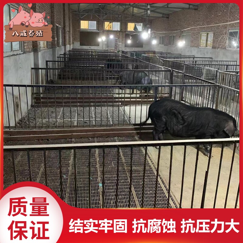 Breeding nets Pig Internet Pig With Leaking Manure Mesh Plate Piggy Care Yukon Bed Net Mother Swine Produce Bed Mesh Steel Barbed Wire