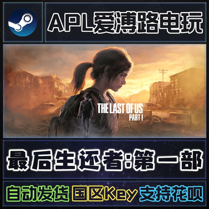 Steam Genuine Chinese Region Key the Last of Us Part I Pc Game