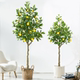 Artificial Lemon Tree New Year Decoration Fruit Tree Potted Plant Opening Celebration Home Warming Green Plant Indoor Potted Ornament