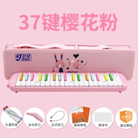 Радужные розовые мультяшные учебные пособия, полный комплект