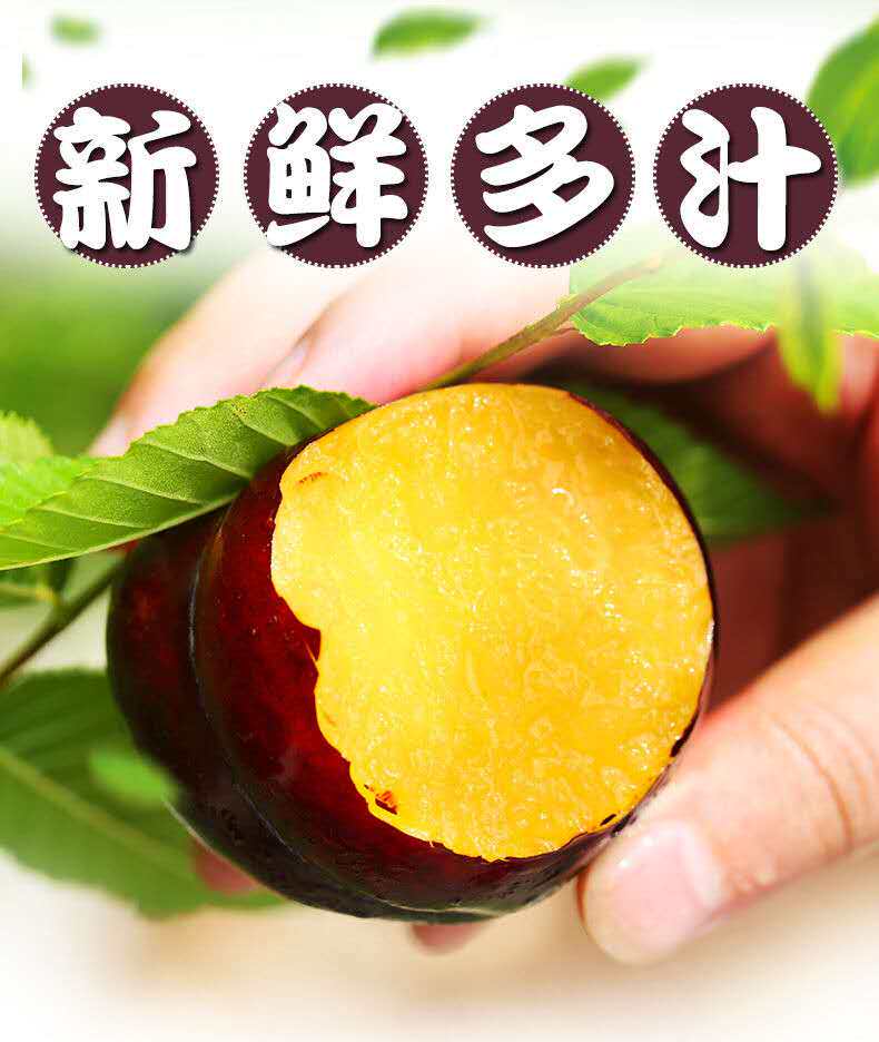 老农贺 黑布林李子 带箱10斤 现摘现发 图1