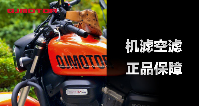 Qianjiang motorcycle flash 300S original air filter element filter air filter oil grid machine filter accessories