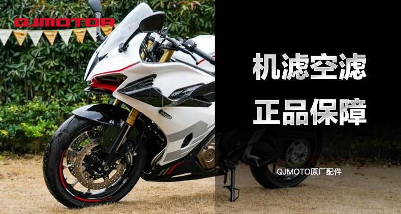 Original Qianjiang Motorcycle Race 450 QJ400-16D Oil Filter Element Air Filter Machine Filter Air Filter Accessories