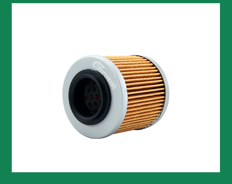 Benda Motorcycle Liao LFC700 Tang Dao LFS700 Black Flag BD500-2A Oil Filter Element Machine Filter