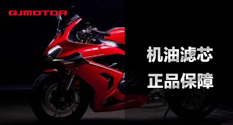 Original Qianjiang motorcycle race 800 QJ800GS-G oil filter element air filter air filter machine filter accessories